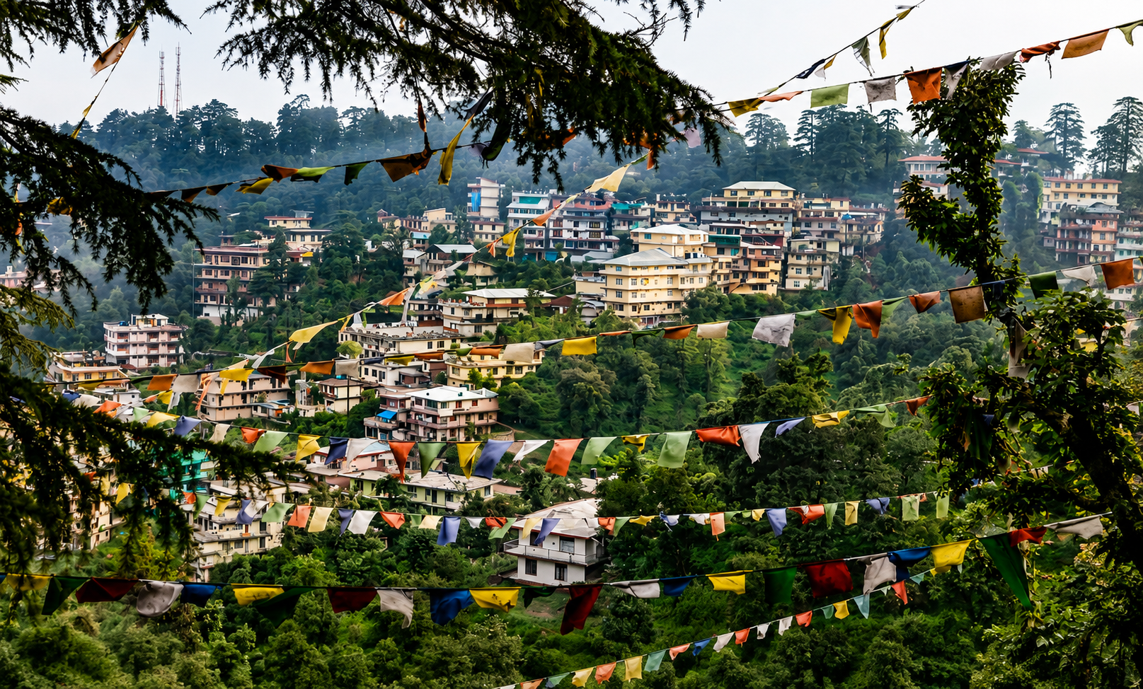 Dharamshala For The  Soulful Traveler